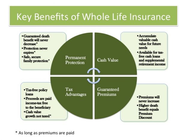 Senior Whole Life Insurance